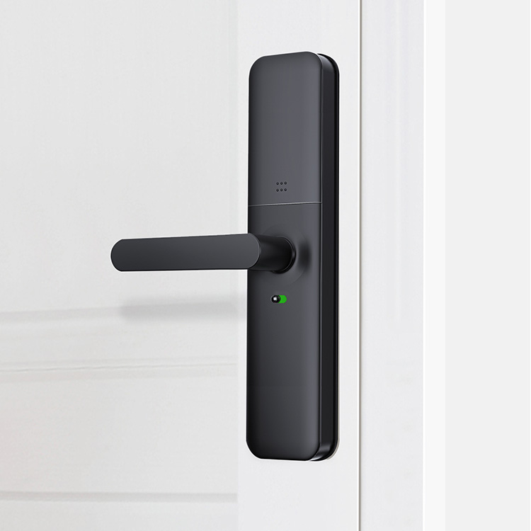 Cerradura en acabado negro - Vista 4